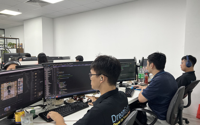 Game Developer